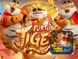 Guia install APK 705BET BR